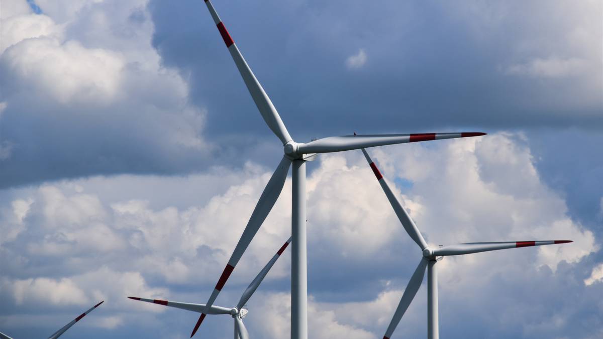 Mandoiako parke eolikoaren gaineko berbaldia Igorren